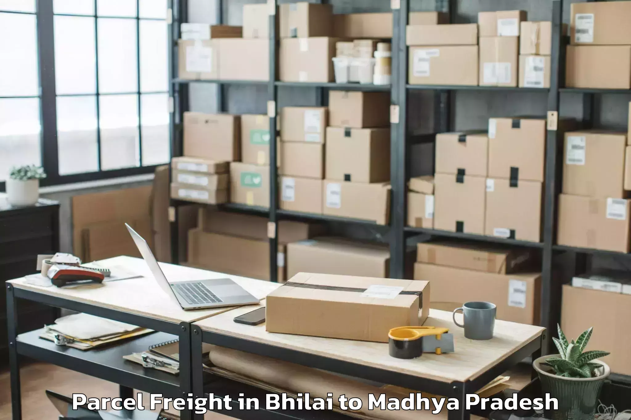 Book Your Bhilai to Ghugri Parcel Freight Today